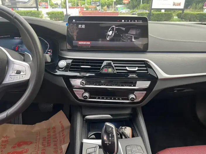 BMW 5 Series 2023 Model 530Li Leading Model M Sports Set – фото 9