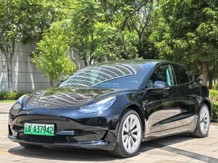Model 3 2021 Model Standard Battery Life Rear Drive L Class Edition 3D1