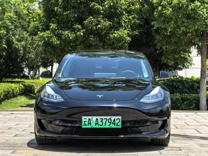 Model 3 2021 Model Standard Battery Life Rear Drive L Class Edition 3D1