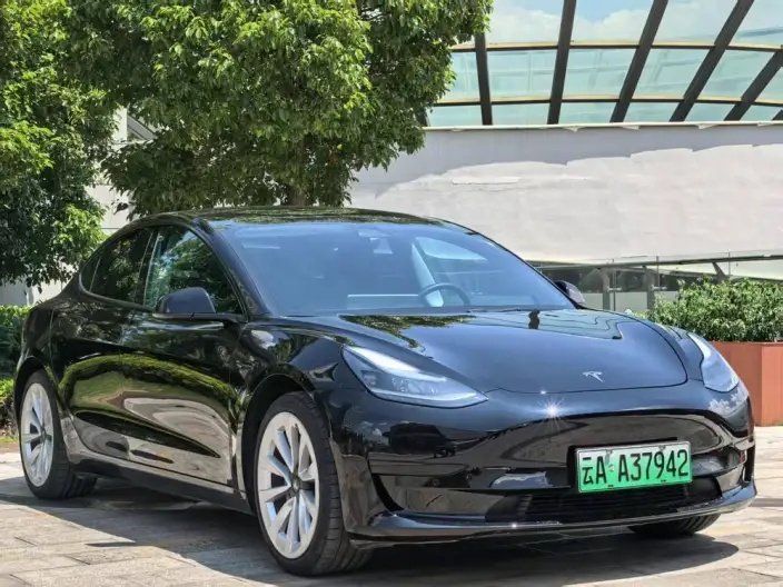 Model 3 2021 Model Standard Battery Life Rear Drive L Class Edition 3D1