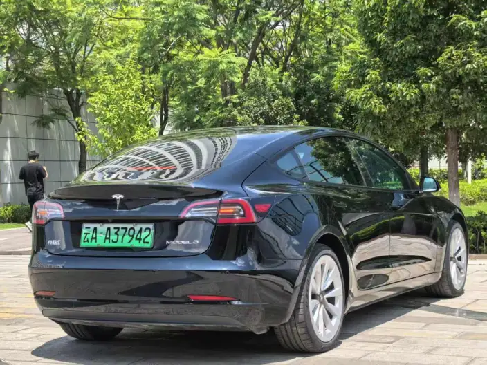 Model 3 2021 Model Standard Battery Life Rear Drive L Class Edition 3D1 – фото 5