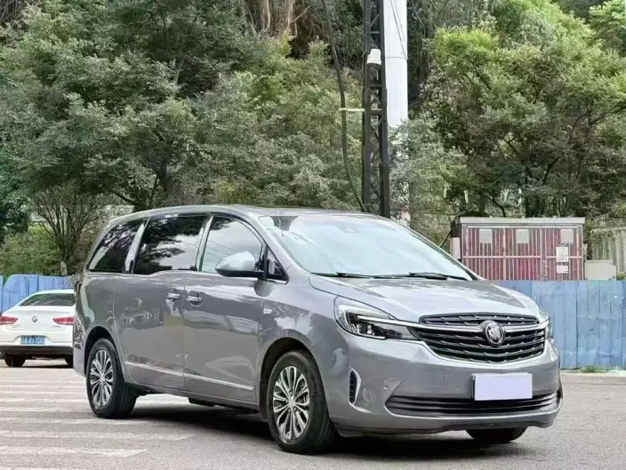 Buick GL8 2021 Model Business class 652T Luxury Model – фото 3