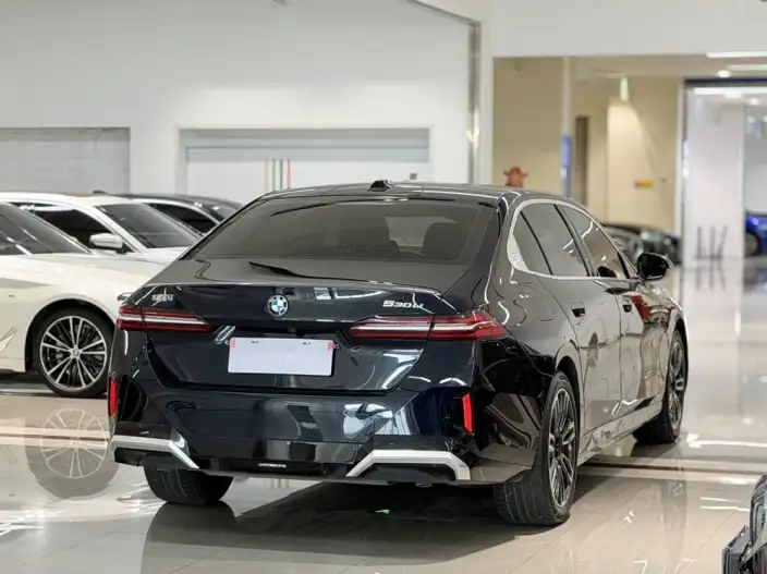 BMW 5 Series 2024 Model 530Li Leading Model M Sports Set – фото 6