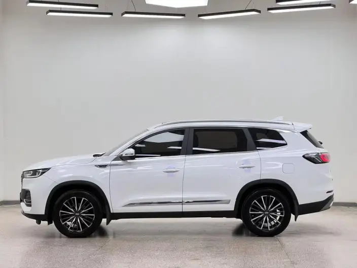 Chery Tiggo 8 PLUS 2022 Model 290TGDI DCT Pride Edition + – фото 4