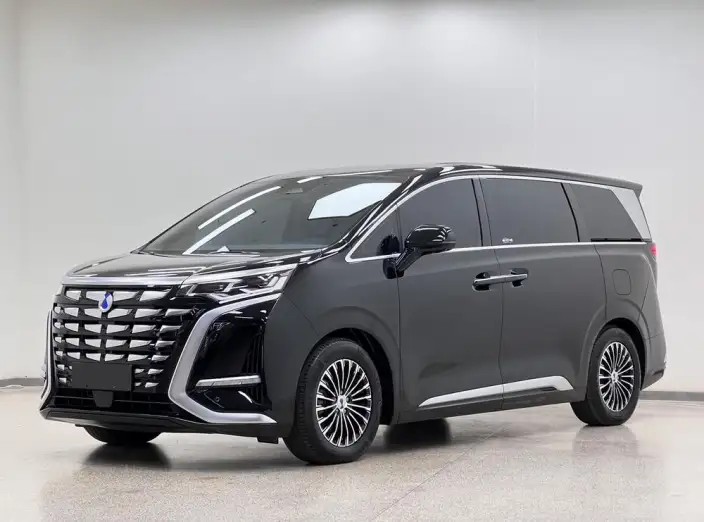 DENZA D9 DM 2022 Model 970 4WD Zunrong Model – фото 1