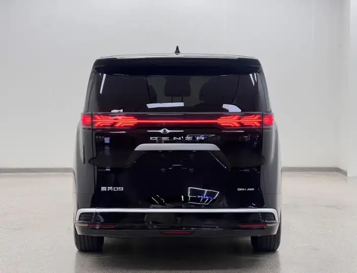 DENZA D9 DM 2022 Model 970 4WD Zunrong Model – фото 6