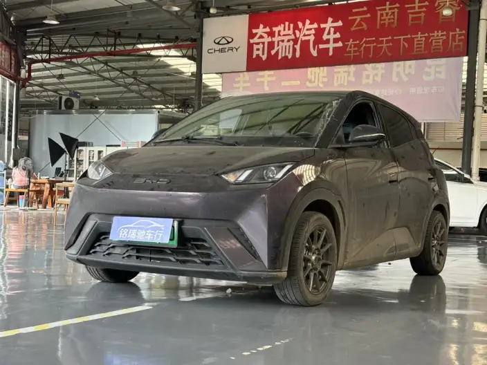 BYD Seagull 2023 Model Vitality Edition – фото 1
