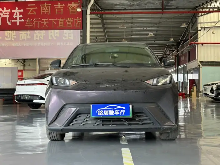 BYD Seagull 2023 Model Vitality Edition – фото 2