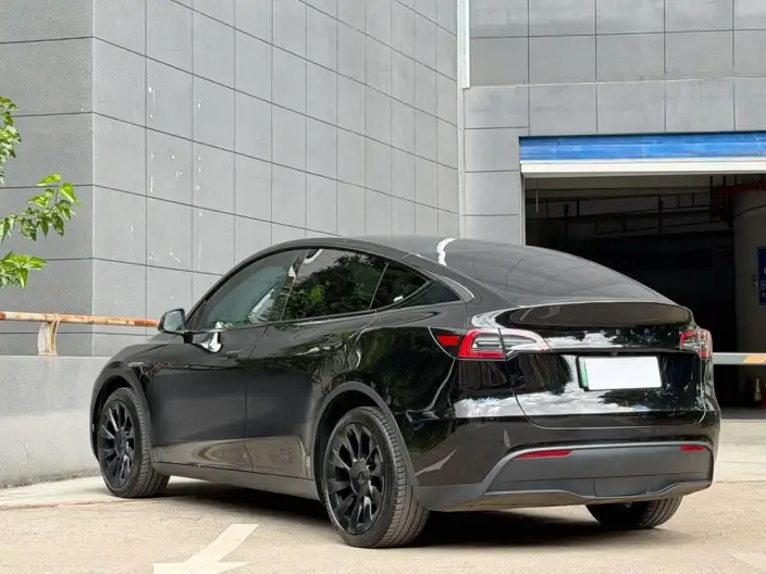 Model Y 2024 Model Long Battery Life Pro All-wheel drive version – фото 5