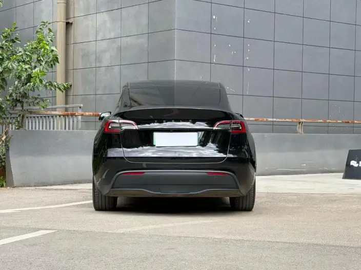 Model Y 2024 Model Long Battery Life Pro All-wheel drive version – фото 6