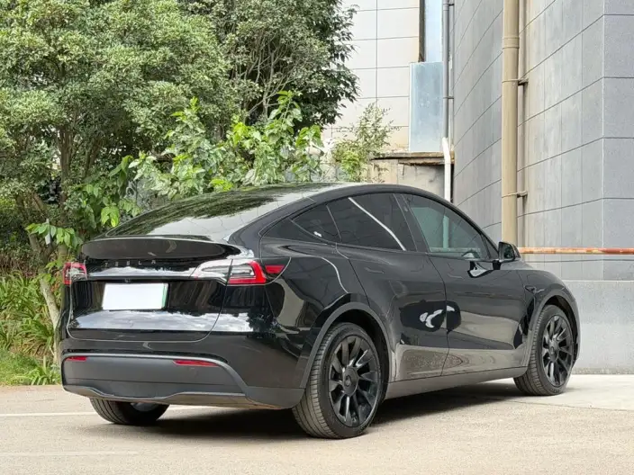 Model Y 2024 Model Long Battery Life Pro All-wheel drive version – фото 7