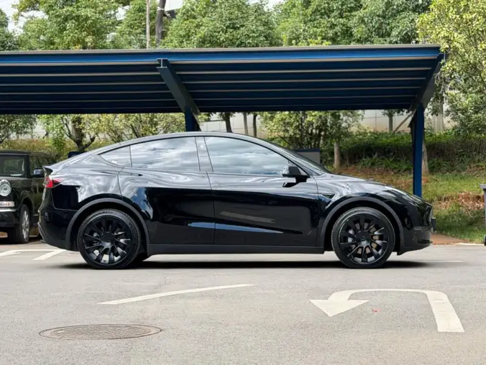 Model Y 2024 Model Long Battery Life Pro All-wheel drive version – фото 8