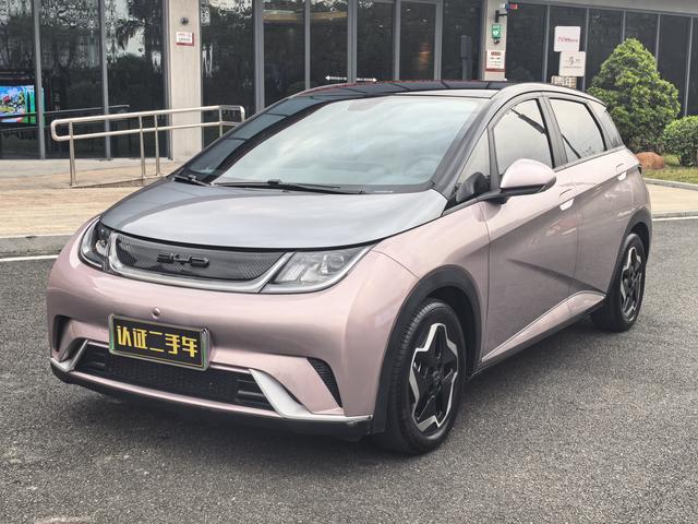 BYD Dolphin 2021 Fashion – фото 1