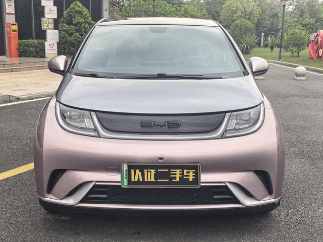 BYD Dolphin 2021 Fashion – фото 2