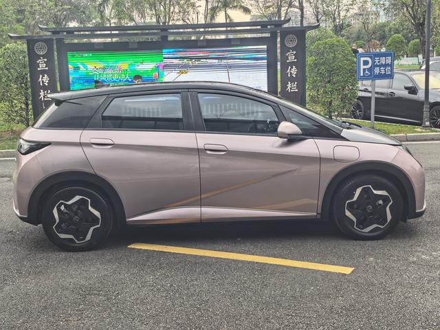 BYD Dolphin 2021 Fashion – фото 4