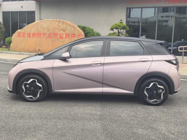 BYD Dolphin 2021 Fashion – фото 5