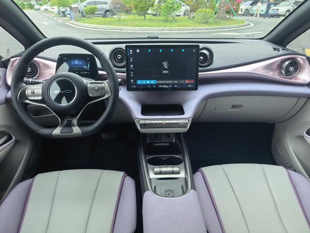 BYD Dolphin 2021 Fashion – фото 6
