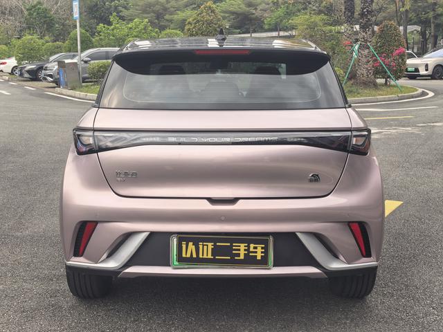 BYD Dolphin 2021 Fashion – фото 13