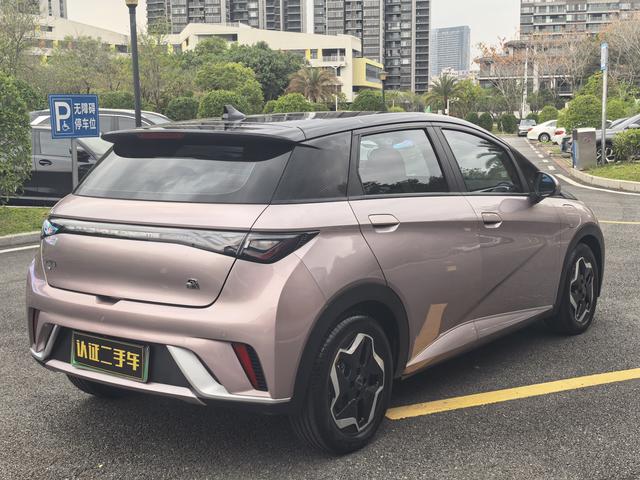BYD Dolphin 2021 Fashion – фото 14