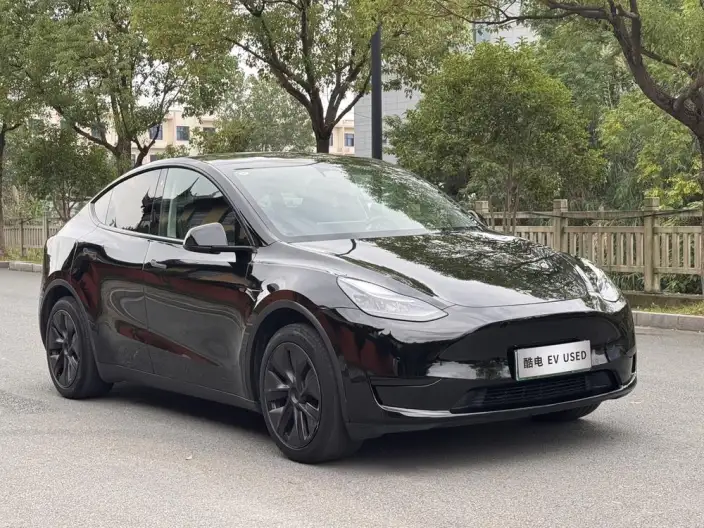 Model Y 2023 Model Rear-wheel drive version – фото 3