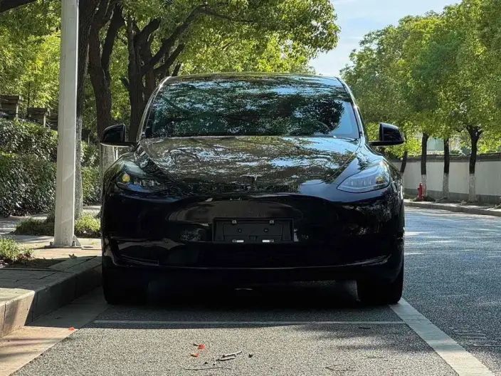 Model Y 2022 Model Facelift Rear-wheel drive version – фото 2