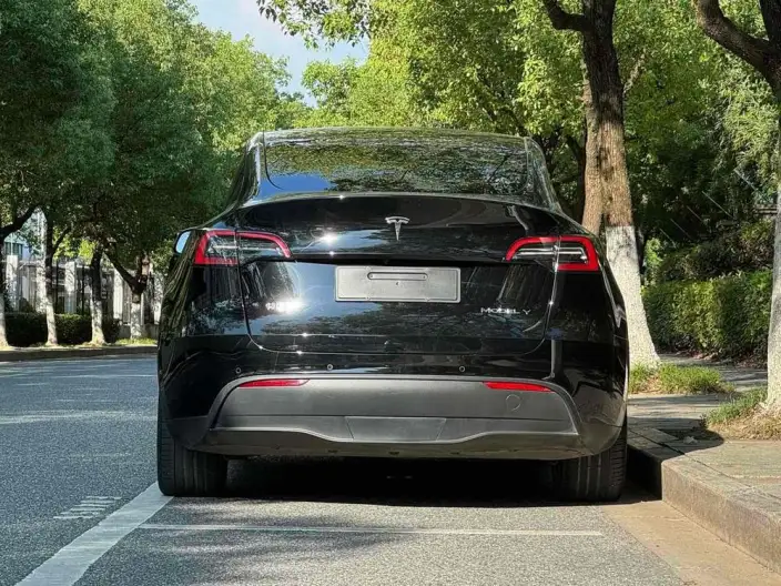 Model Y 2022 Model Facelift Rear-wheel drive version – фото 5