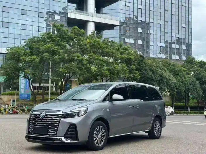 Buick GL8 2023 Model Business class 2.0T Comfort Model – фото 10