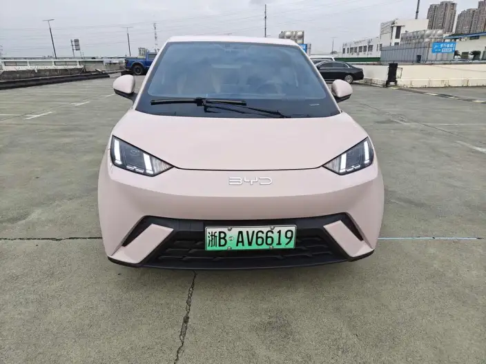 BYD Seagull 2025 Model 305KM Free Edition – фото 2