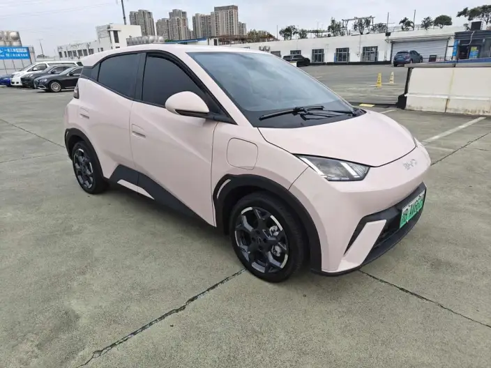 BYD Seagull 2025 Model 305KM Free Edition – фото 3
