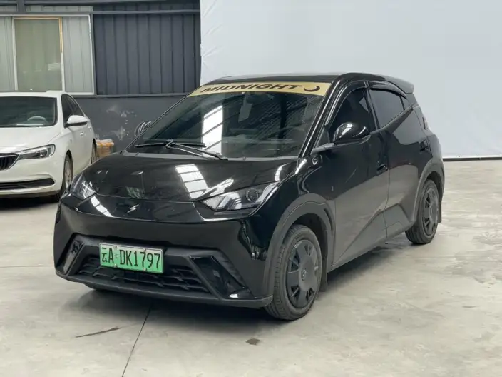 BYD Seagull 2024 Model Honor Edition 305KM Vitality Edition – фото 1