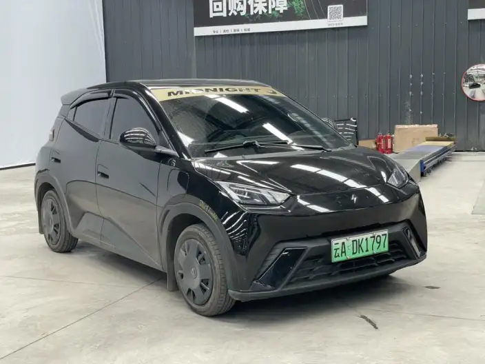 BYD Seagull 2024 Model Honor Edition 305KM Vitality Edition – фото 3