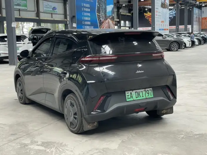 BYD Seagull 2024 Model Honor Edition 305KM Vitality Edition – фото 4