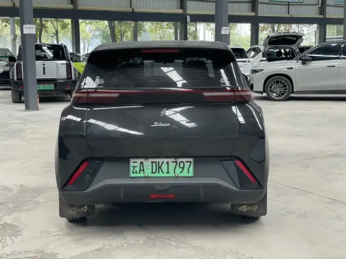 BYD Seagull 2024 Model Honor Edition 305KM Vitality Edition – фото 5