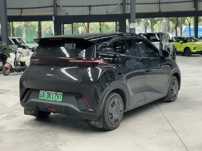 BYD Seagull 2024 Model Honor Edition 305KM Vitality Edition – фото 6