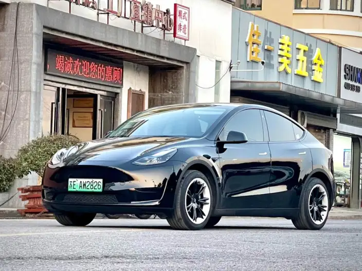 Model Y 2023 Model Rear-wheel drive version – фото 1