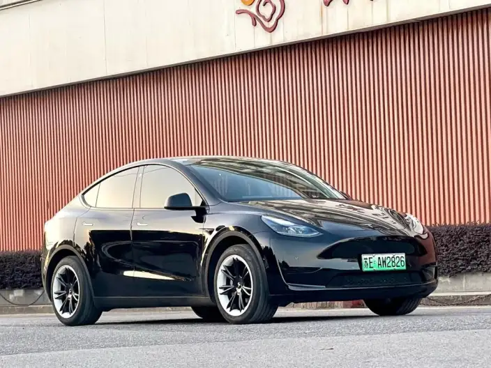 Model Y 2023 Model Rear-wheel drive version – фото 3