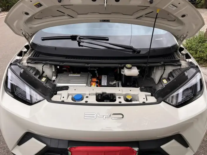 BYD Seagull 2023 Model Vitality Edition – фото 9