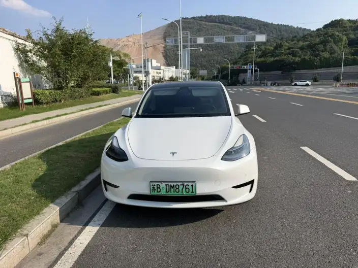 Model Y 2023 Model Rear-wheel drive version – фото 2