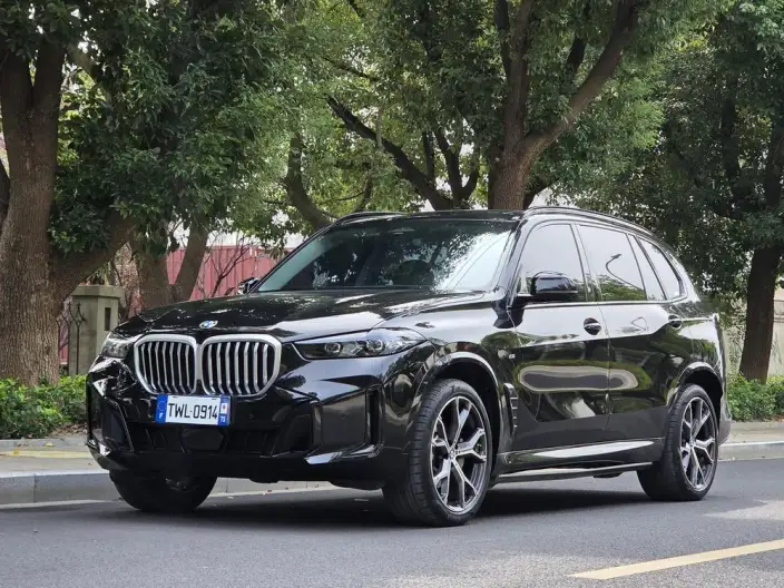 BMW X5 2025 Model xDrive30Li Exclusive Model M Sports Night Set – фото 1