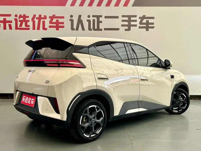 BYD Seagull 2025 Model Smart Driving Edition 305KM Vitality Edition – фото 5