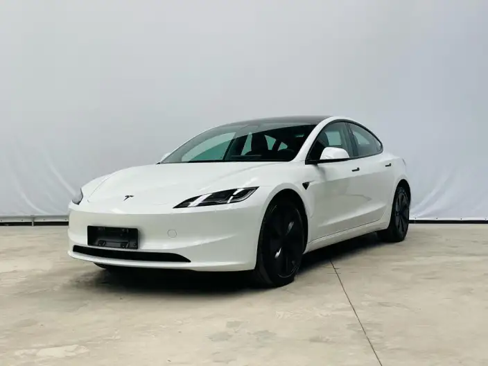 Model 3 2025 Model Long Battery Life Pro Rear-wheel drive version – фото 1