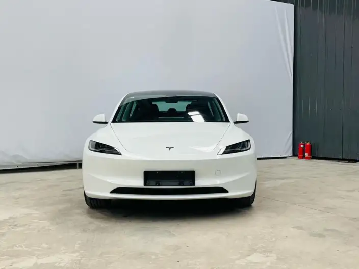 Model 3 2025 Model Long Battery Life Pro Rear-wheel drive version – фото 2