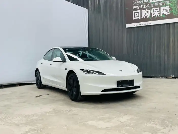 Model 3 2025 Model Long Battery Life Pro Rear-wheel drive version – фото 3