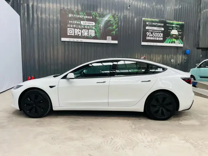 Model 3 2025 Model Long Battery Life Pro Rear-wheel drive version – фото 4