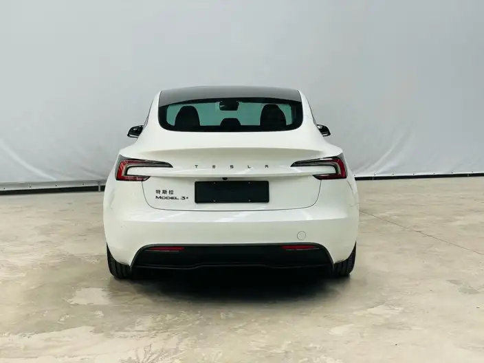 Model 3 2025 Model Long Battery Life Pro Rear-wheel drive version – фото 6