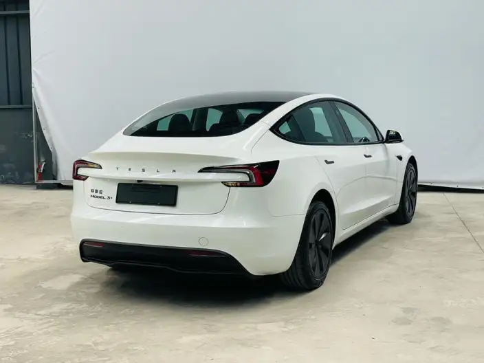Model 3 2025 Model Long Battery Life Pro Rear-wheel drive version – фото 7