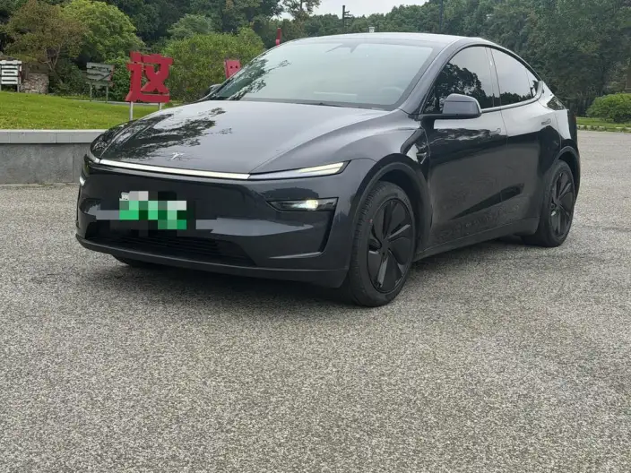 Model Y 2025 Model Rear-wheel drive version – фото 1