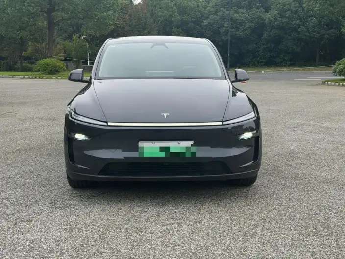 Model Y 2025 Model Rear-wheel drive version – фото 2