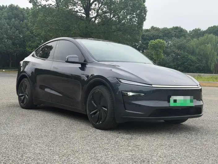 Model Y 2025 Model Rear-wheel drive version – фото 3