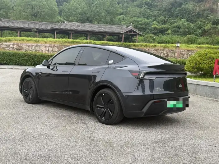 Model Y 2025 Model Rear-wheel drive version – фото 4